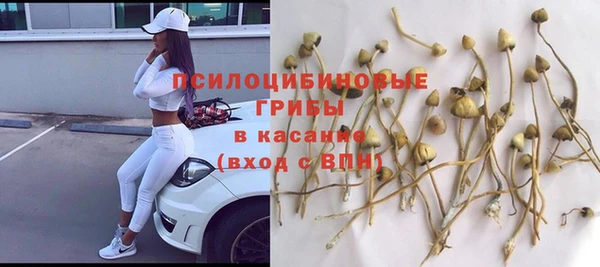 круглые Алзамай