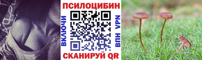 hydra зеркало Починок Галлюциногенные грибы GOLDEN TEACHER продажа наркотиков